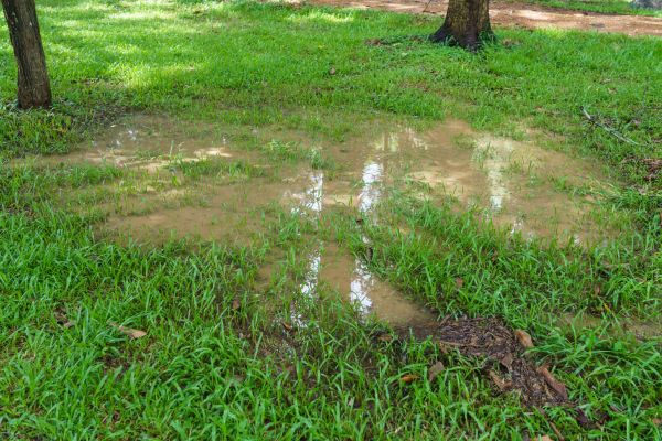Cost of Storm Water Drainage Service in Chesterfield