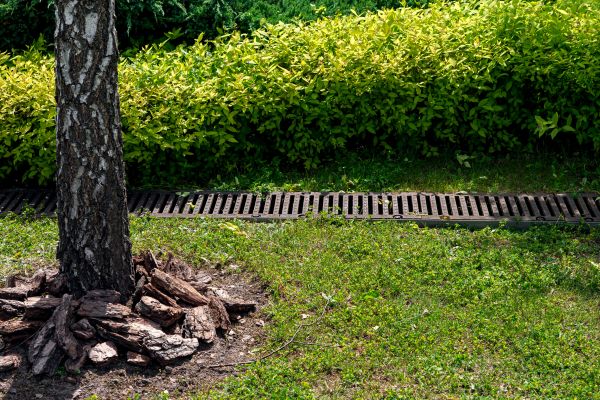 Cost of Wet Yard Drainage in Chesterfield