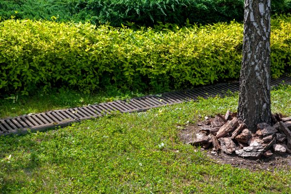 Cost of Residential Landscape Drainage in Chesterfield