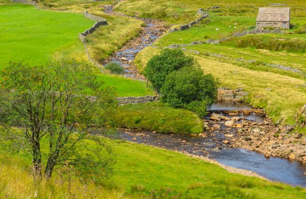 Cost of Swale Repair in Chesterfield